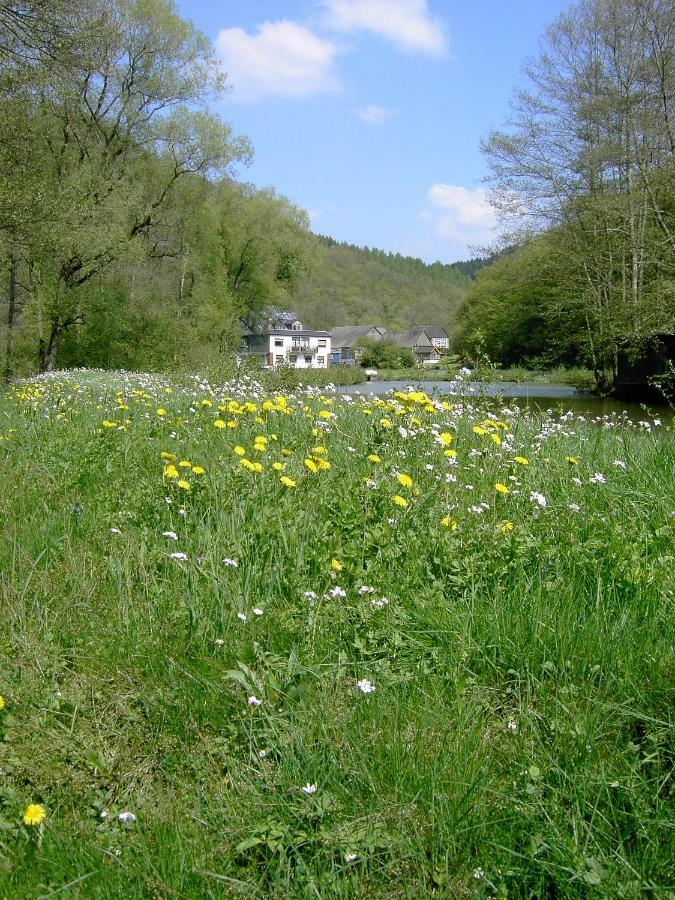 Pulgersmuehle Appartement Morsdorf Buitenkant foto